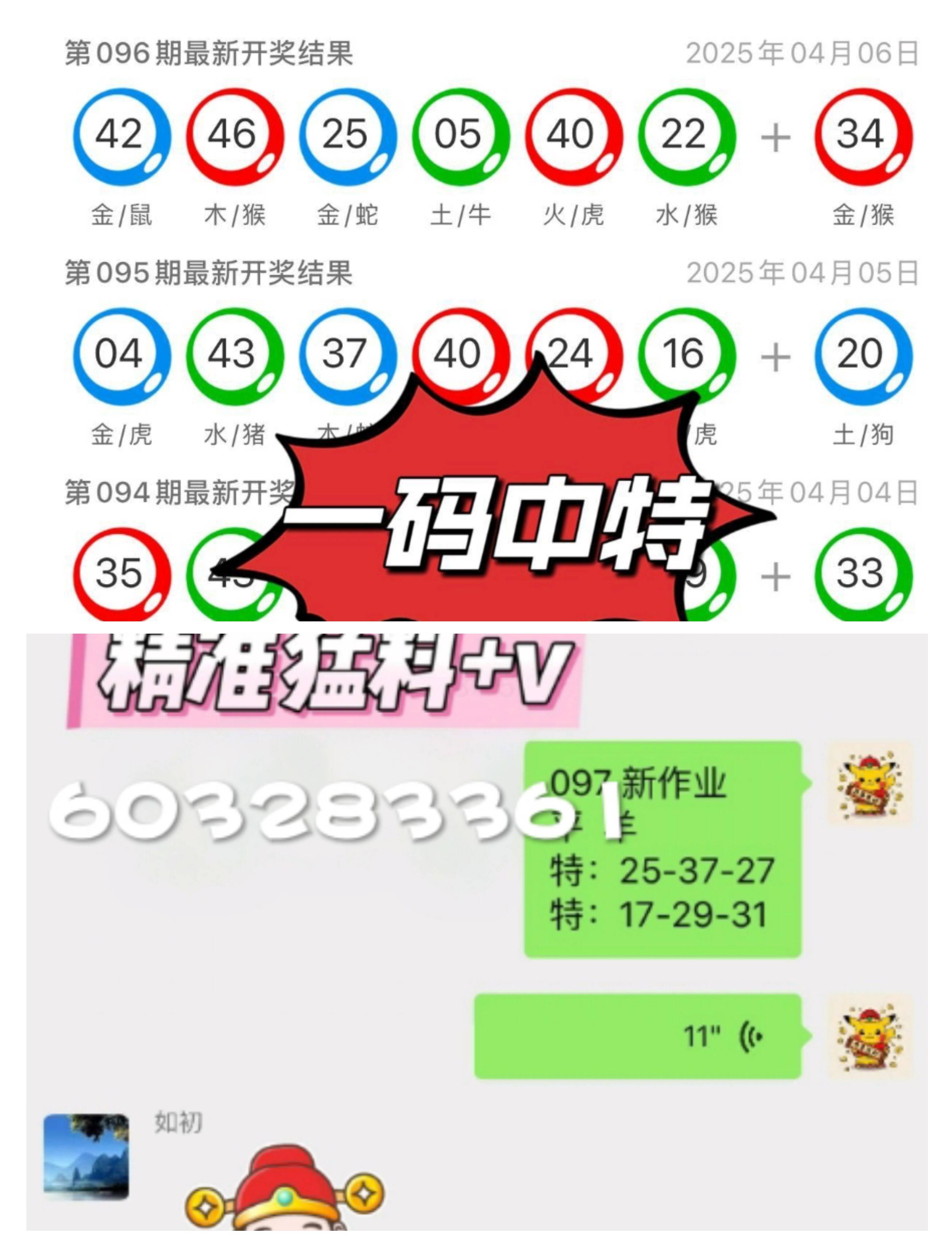 探索未來(lái)，2025新澳門(mén)九肖展望，2025新澳門(mén)九肖展望，探索未來(lái)之路