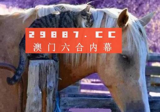 澳門一肖一碼一待一中四不像，探索與解析，澳門一肖一碼一待一中四不像，深度解析與探索