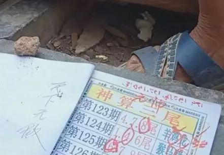 香港中特期期準(zhǔn)資料，深度解析與探索，香港中特期期準(zhǔn)資料深度解析與探索報(bào)告