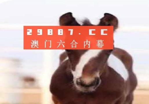 澳門一肖一碼狀元紅，揭秘彩票背后的秘密與策略，澳門彩票揭秘，狀元紅背后的秘密與策略解析