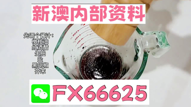2025年新澳正版免費(fèi)料，全面解析與獨(dú)家資訊，獨(dú)家解析，揭秘新澳正版免費(fèi)料獨(dú)家資訊至2025年