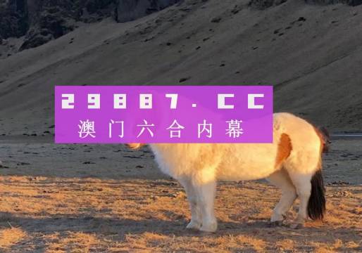 澳門天天彩資料正版免費(fèi)特色快8，探索彩票世界的魅力與機(jī)遇，澳門天天彩正版特色快8，彩票世界的魅力與機(jī)遇探索