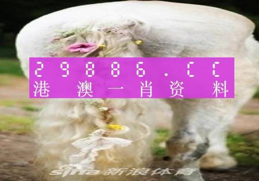 澳門羊了個羊與各大圖庫的資料揭秘，2023年澳門今晚必中一肖一碼永久免費(fèi)資料庫大解密，澳門羊了個羊與資料庫揭秘，2023年必中一肖一碼永久免費(fèi)資料大解密