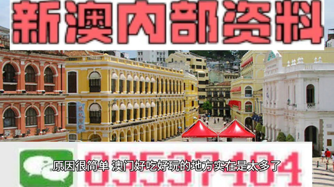 澳門(mén)精準(zhǔn)資料大全免費(fèi)，探索與解析，澳門(mén)精準(zhǔn)資料大全免費(fèi)解析探索