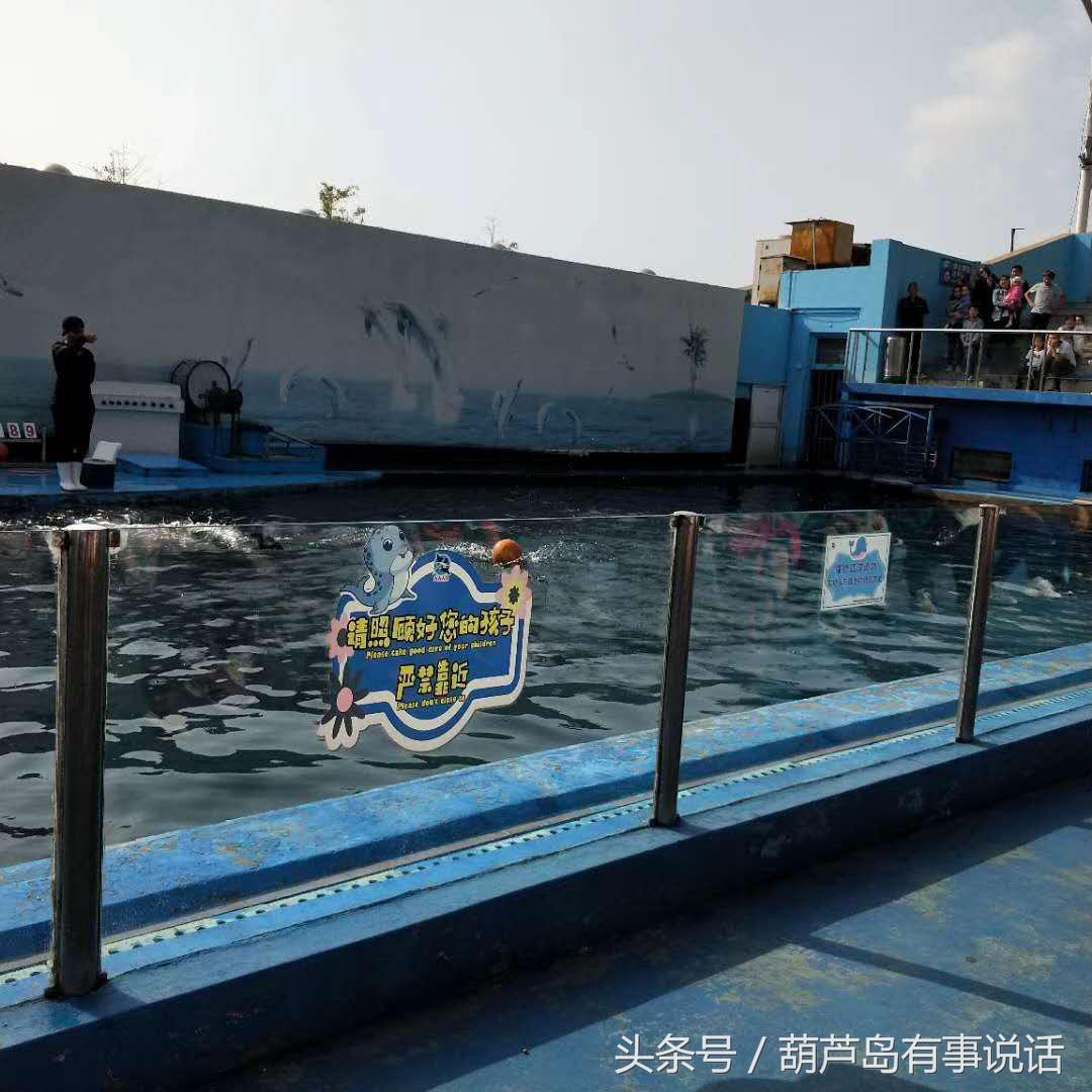 揭秘9點30分彩新澳，全方位解讀彩票新玩法，揭秘9點30分彩新澳，全方位解讀彩票新玩法攻略