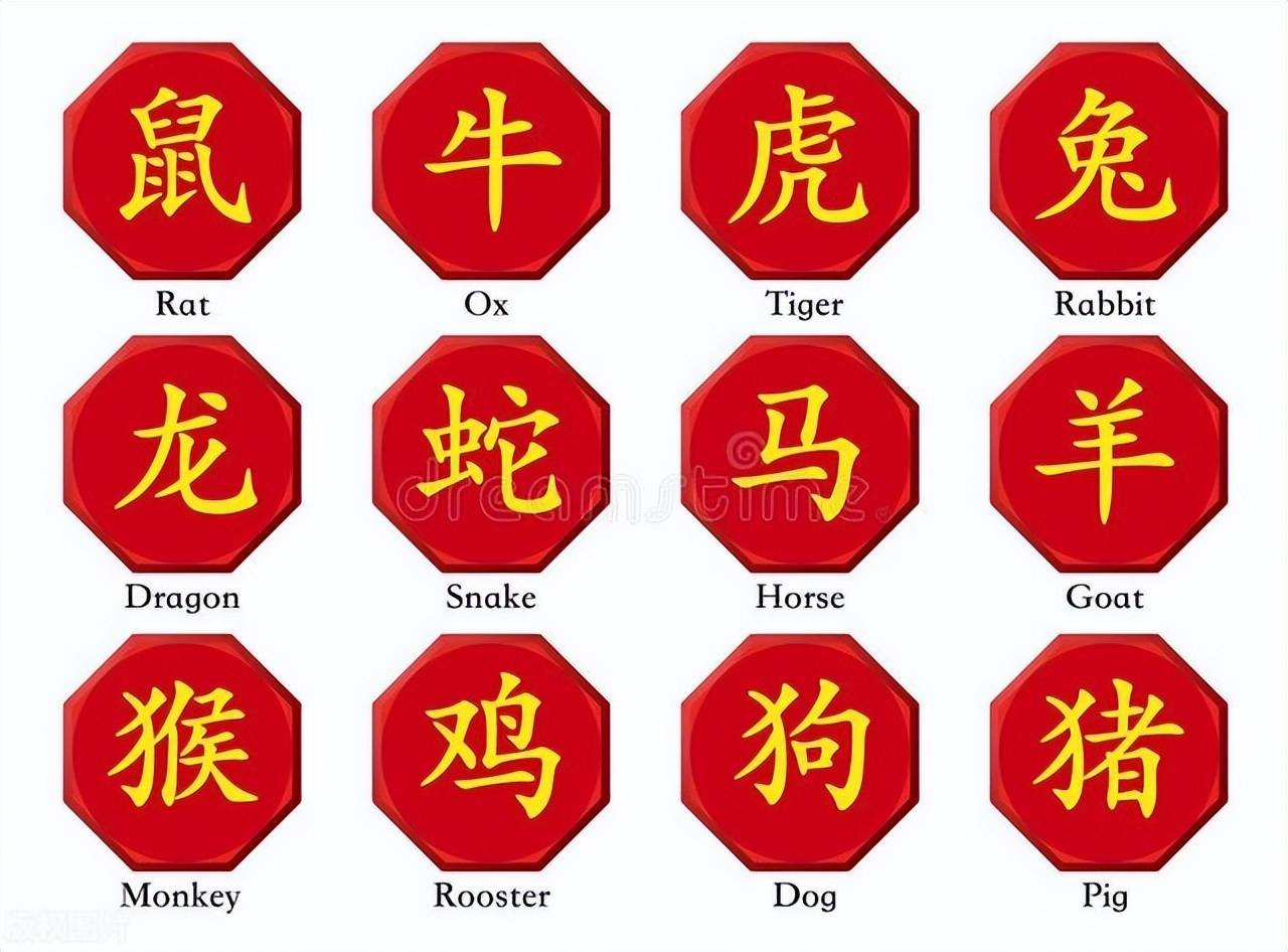 新澳特碼，羊?；⒏鲾?shù)10——揭秘背后的數(shù)字奧秘，揭秘新澳特碼數(shù)字奧秘，羊?；⒏鲾?shù)背后的秘密