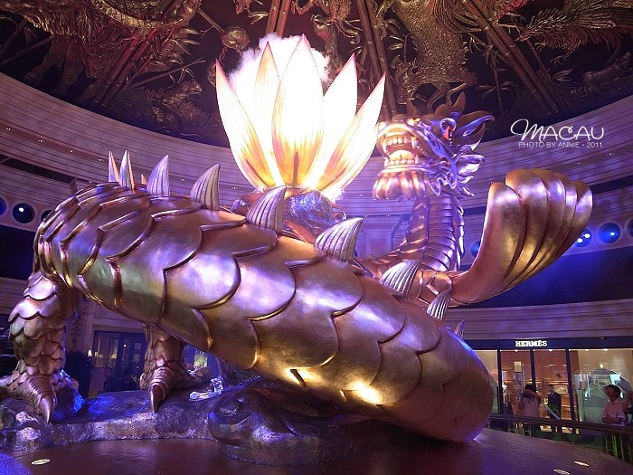 澳門(mén)無(wú)錯(cuò)七尾，探索與解析，澳門(mén)無(wú)錯(cuò)七尾，深度探索與解析