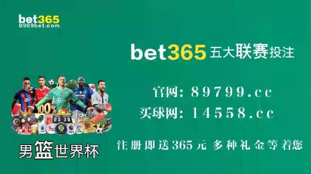王中王中特馬王中王精準資料解析與SEO優(yōu)化策略探討，王中王中特馬精準資料解析與SEO策略探討