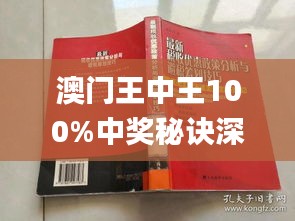 新澳門王中王期期中，探索與解析，新澳門王中王期期中，深度探索與解析