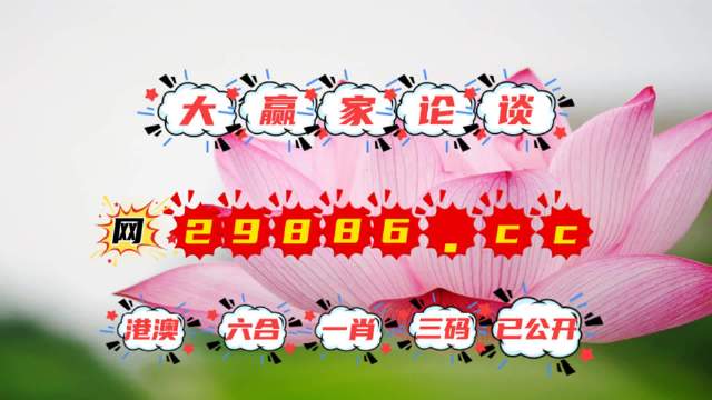 揭秘4887王中王精準資料，全方位解讀，洞悉其獨特魅力，揭秘，全方位解讀王中王精準資料，洞悉其獨特魅力