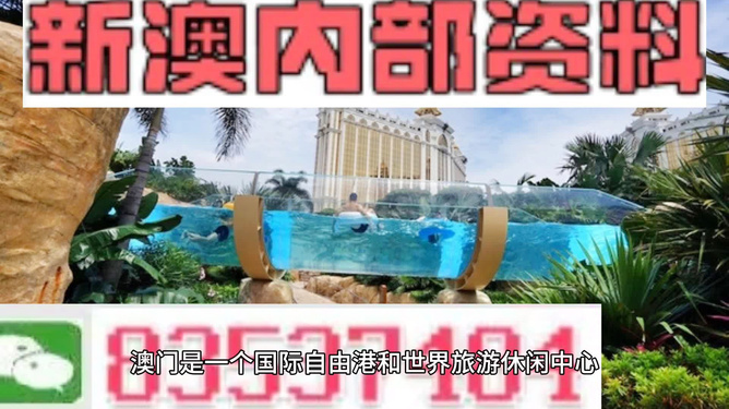 新澳的資料去哪里找——全面指南，新澳資料全攻略，尋找資料的途徑與指南