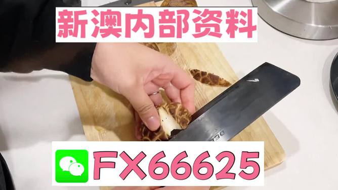 澳門九點半9點半網(wǎng)站——探索其魅力與優(yōu)勢，澳門九點半網(wǎng)站，魅力與優(yōu)勢探索