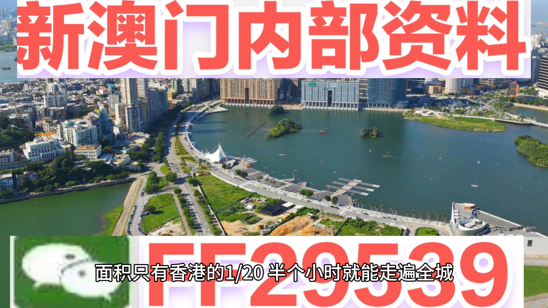 澳門特碼，探索其背后的秘密與魅力，澳門特碼背后的秘密與魅力探索