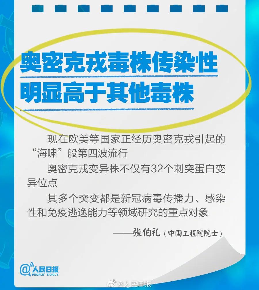新奧2025最新資料大全，準(zhǔn)確資料全面解析，新奧2025最新資料大全，全面解析準(zhǔn)確資料一網(wǎng)打盡