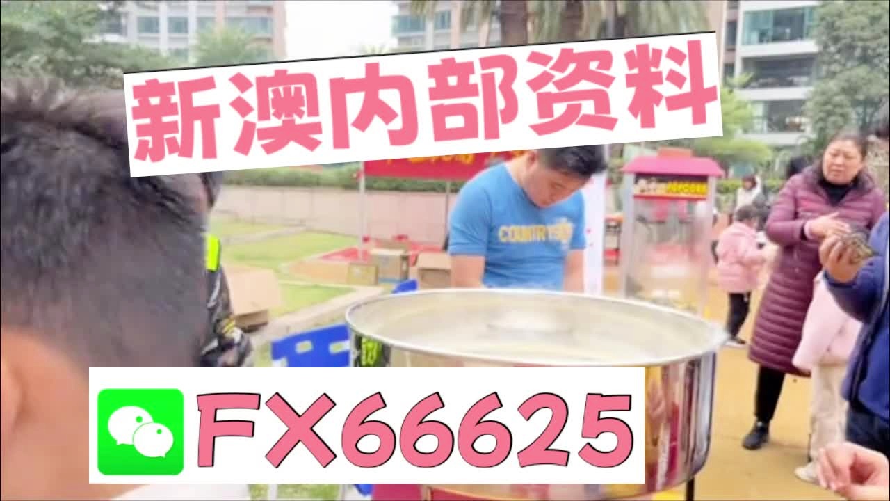 新澳2025芳草地資料大全，深度解析與前瞻性展望，新澳2025芳草地，資料深度解析與前瞻性展望