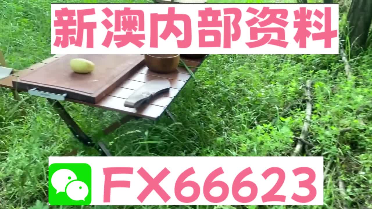新奧特碼走勢圖解析與預(yù)測，新奧特碼走勢圖解析與預(yù)測，未來趨勢探討