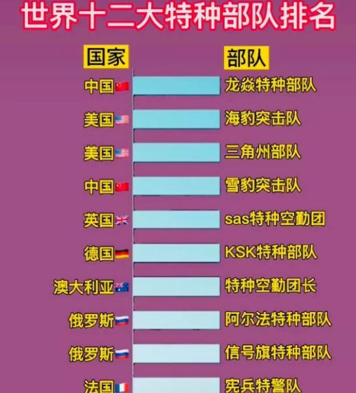 中國十大王牌特種部隊(duì)，實(shí)力與榮耀的象征，中國十大王牌特種部隊(duì)，實(shí)力與榮耀的巔峰標(biāo)志