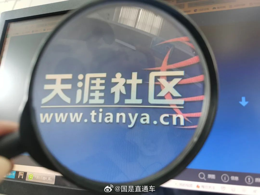 天涯國際觀察，全球視野下的深度分析與洞察，全球深度洞察，天涯國際觀察分析