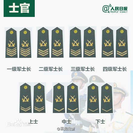 全球各國(guó)軍士長(zhǎng)軍銜對(duì)照表及其重要性，全球各國(guó)軍士長(zhǎng)軍銜對(duì)照表，揭示其重要性