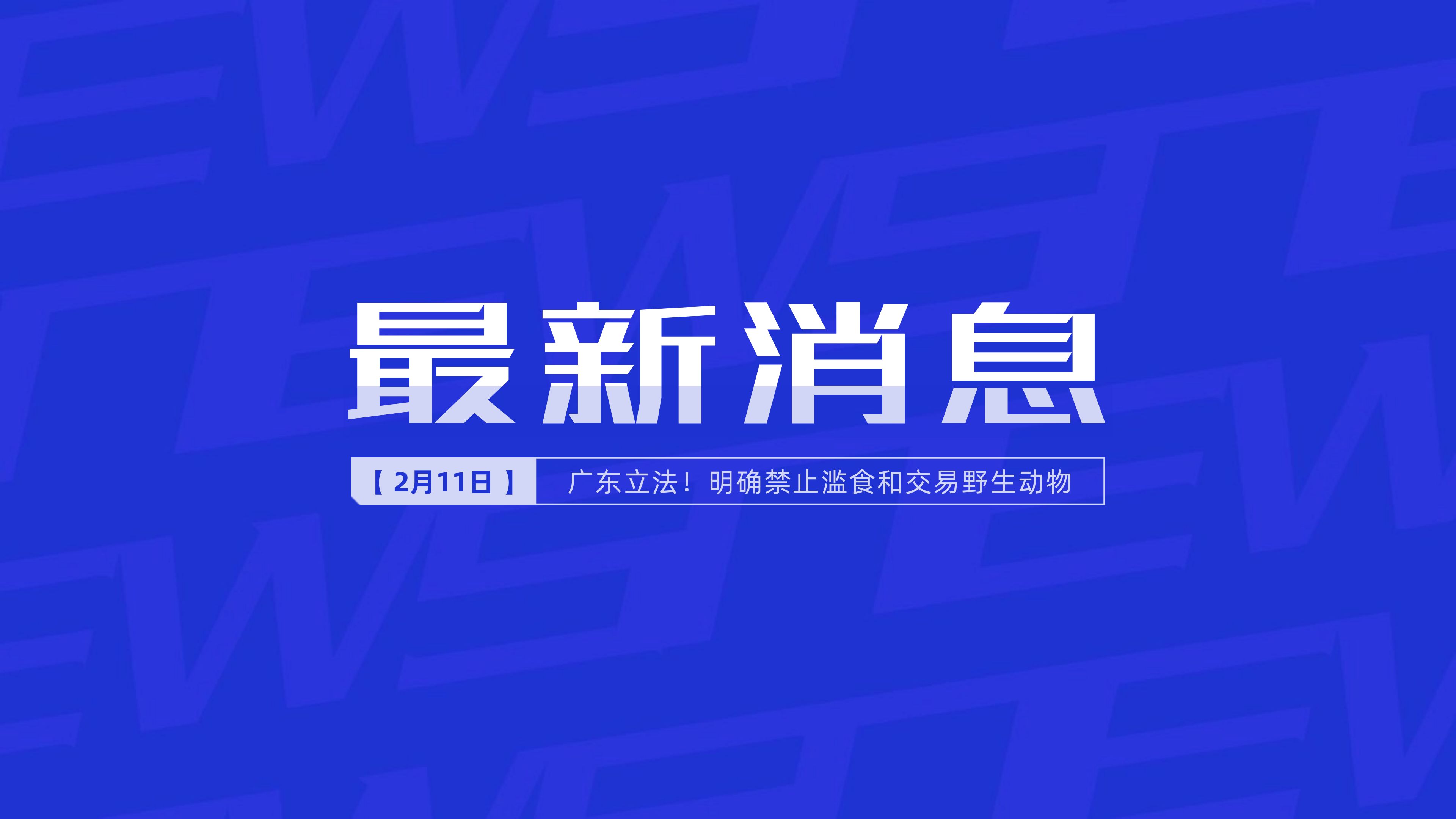 新聞最新新聞，掌握時(shí)事熱點(diǎn)，洞悉世界動(dòng)態(tài)，時(shí)事熱點(diǎn)速遞，掌握全球最新動(dòng)態(tài)新聞