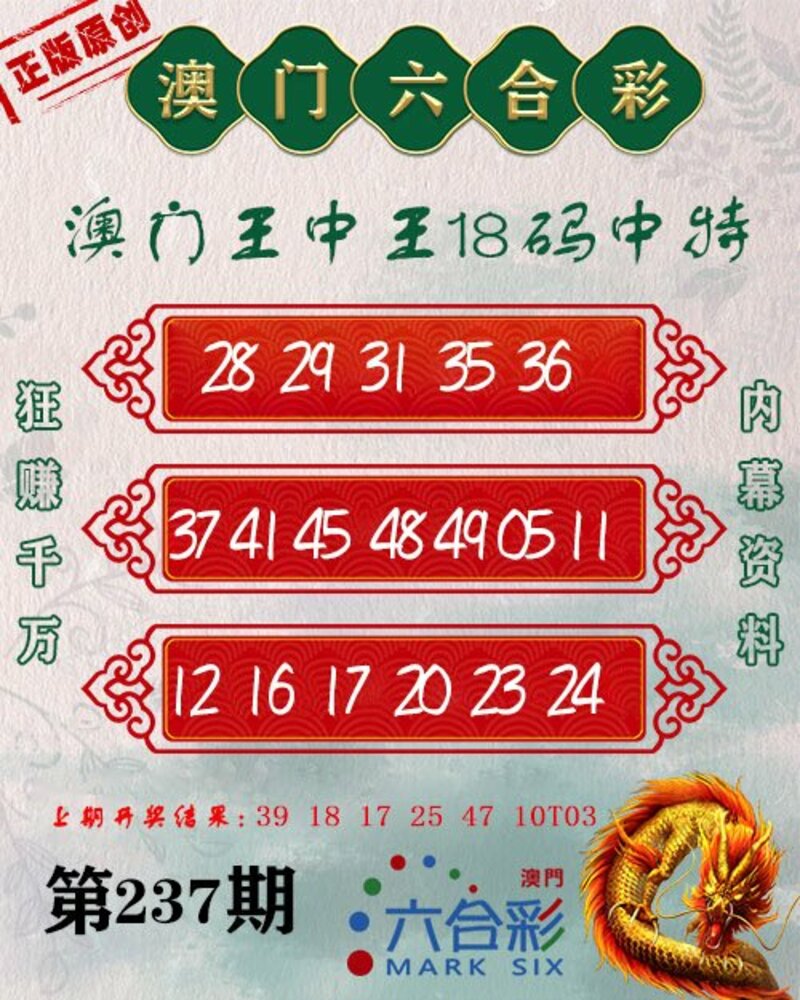 新澳門王中王期期中，探索與解析，新澳門王中王期期中，深度探索與解析