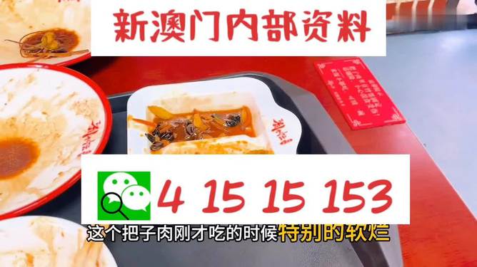 澳門王中王六碼新澳門，探索與解析，澳門王中王六碼新澳門，深度探索與解析