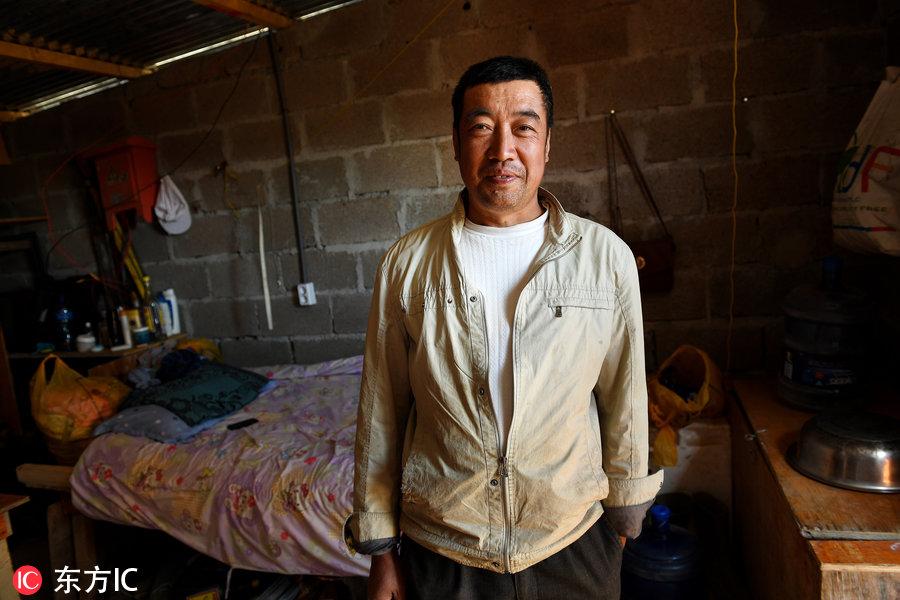 博科圣地組織，深度解析與理解，博科圣地組織深度解析與探究