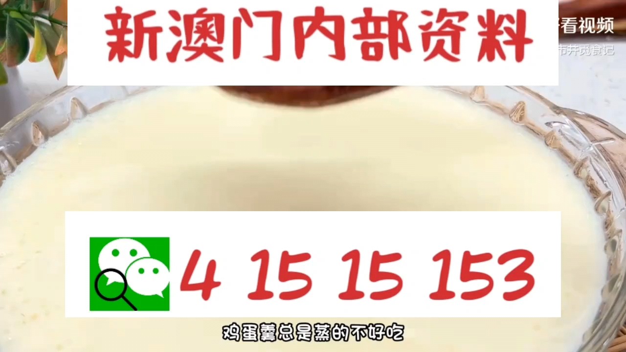 新澳門中特網(wǎng)中特馬，探索與解析，澳門中特馬探索與解析指南