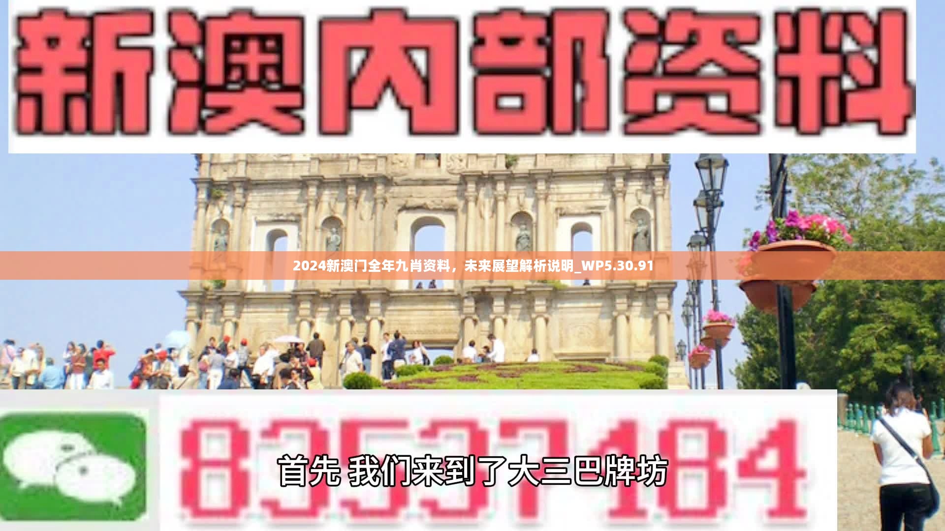 新澳門精準(zhǔn)九肖，揭秘預(yù)測技巧與策略，揭秘新澳門精準(zhǔn)九肖預(yù)測技巧與策略