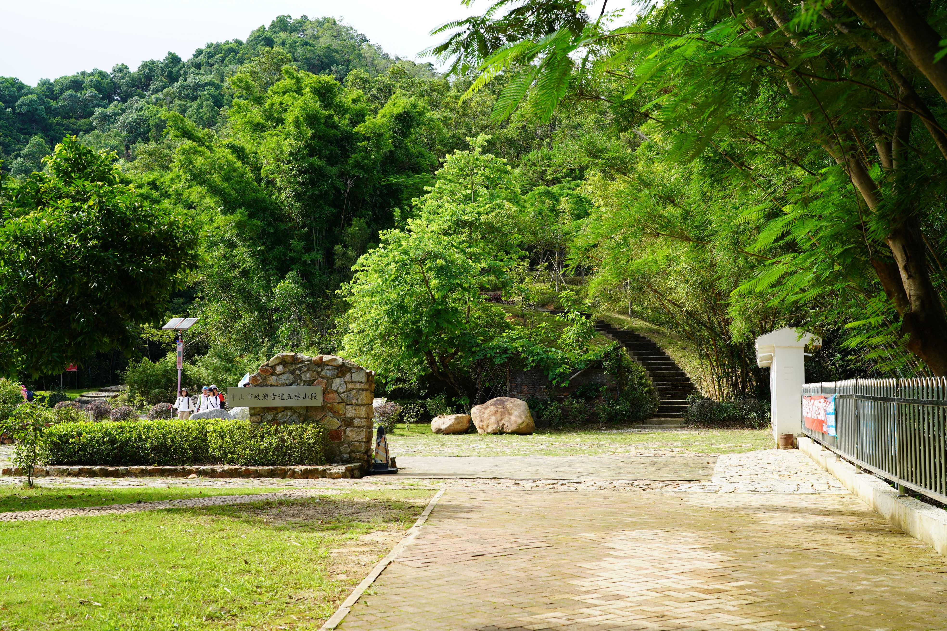 新澳門波色走勢圖表大全，深度解析與預(yù)測，澳門波色走勢圖表解析與預(yù)測大全