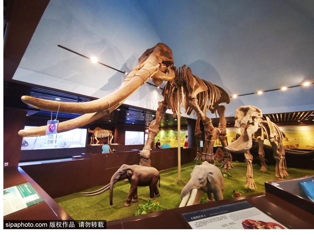 北京必去的十大博物館——探尋千年文化的精華之旅，北京必游十大博物館，千年文化精華之旅探尋記