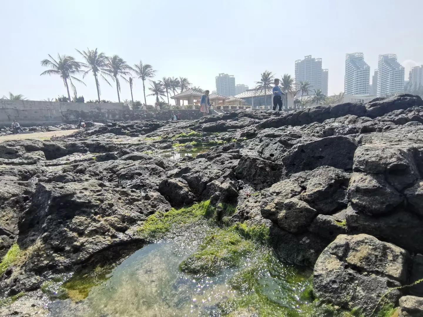 解放海南島電視劇全集下載，探尋30集完整劇情，解放海南島電視劇全集下載，探尋完整的30集劇情探索