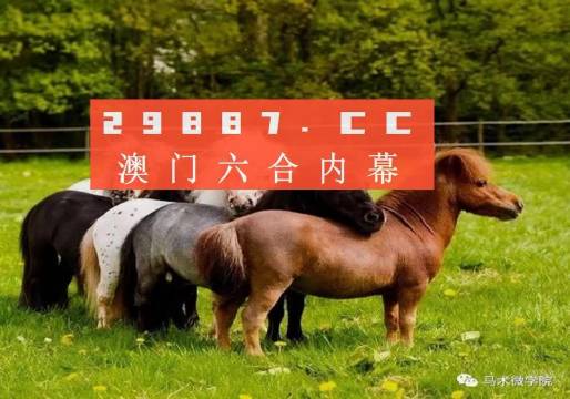 王中王四不像正版一肖中特圖，揭秘背后的秘密與獨(dú)特魅力，揭秘王中王四不像正版一肖中特圖的獨(dú)特魅力和背后秘密