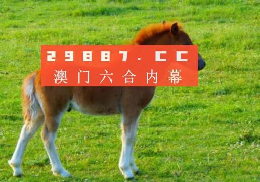 澳門答家婆一肖一馬一中一特，揭秘背后的秘密與獨(dú)特文化魅力，澳門文化魅力深度解析，答家婆一肖一馬一中一特的獨(dú)特傳統(tǒng)與秘密