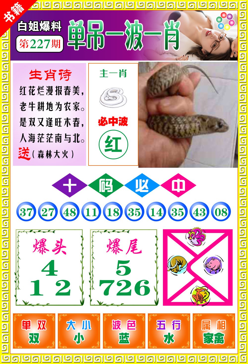 王中王100期期一肖，深度解析與SEO優(yōu)化策略，王中王100期期一肖深度解析與SEO策略全解析