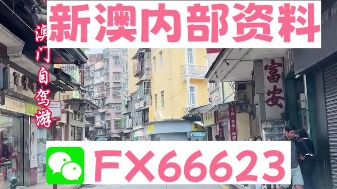 新澳精準(zhǔn)資料免費(fèi)提供，探索與解析，新澳精準(zhǔn)資料解析與探索，免費(fèi)提供的深度解讀