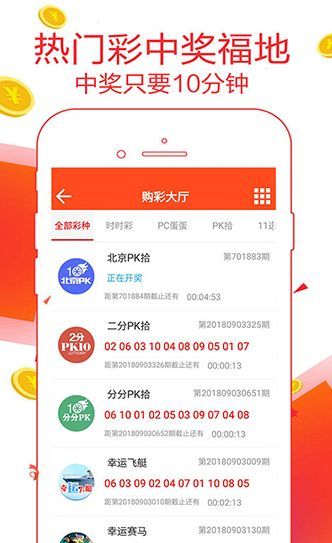 王中王一肖恃com，深度解析與SEO優(yōu)化策略，王中王一肖恃com，全面深度解析與SEO優(yōu)化策略探討