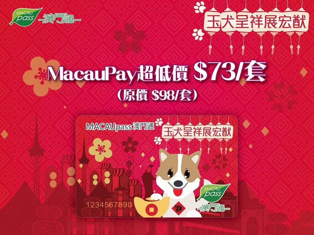 澳門生肖卡，探索未來的趨勢與機遇（2025年展望），澳門生肖卡，未來趨勢與機遇展望（2025年）