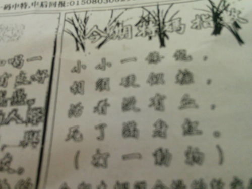 揭秘劉伯溫平特一肖圖——探尋神秘預(yù)測(cè)背后的真相，揭秘劉伯溫平特一肖圖，神秘預(yù)測(cè)背后的真相探索