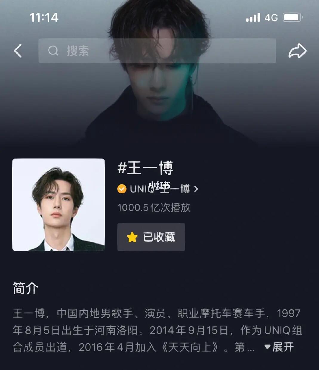 王中王一肖內(nèi)部資料詳解，王中王一肖內(nèi)部資料深度解析