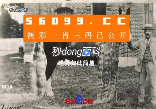 澳門王中王心水王中王，探索與解析，澳門王中王心水奧秘，深度探索與解析