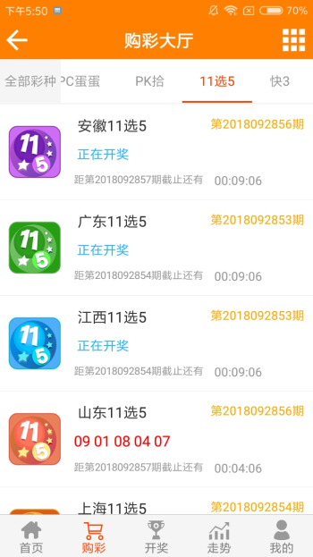 王中王黃金一肖二碼資料，深度解析與SEO優(yōu)化，王中王黃金一肖二碼資料深度解析與SEO優(yōu)化技巧