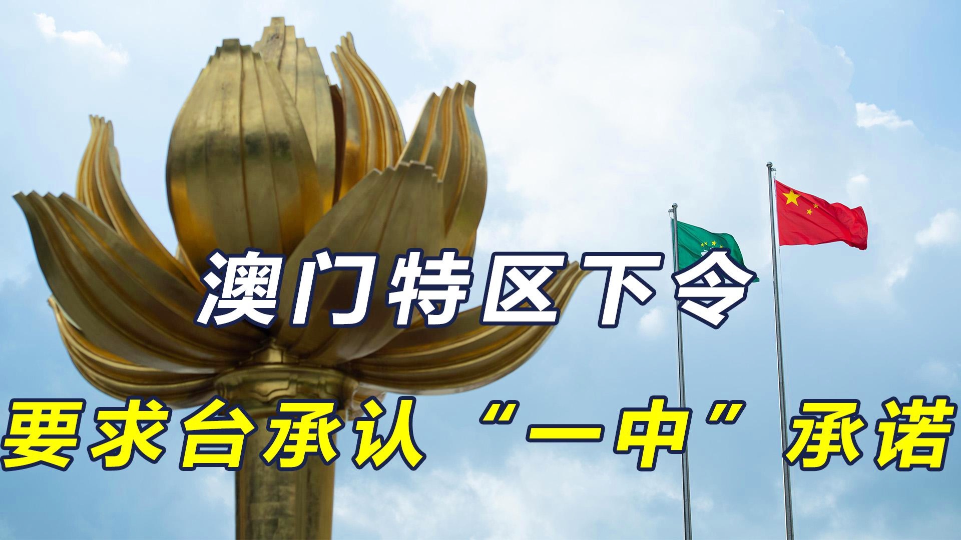 新澳門一碼一肖一特一中準(zhǔn)選今晚之秘與博彩文化深度解析，澳門博彩文化深度解析，今晚一碼一肖一特一中準(zhǔn)選的秘密