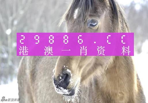 澳門一肖一碼背后的故事，一個(gè)關(guān)于精準(zhǔn)預(yù)測(cè)與傳奇的揭秘，澳門一肖一碼傳奇背后的精準(zhǔn)預(yù)測(cè)與揭秘之旅