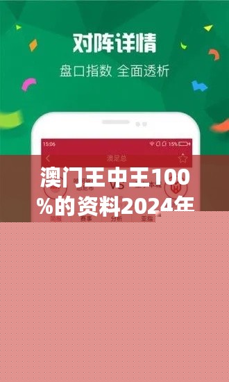 王中王網(wǎng)站一肖，探索與SEO優(yōu)化策略，王中王網(wǎng)站一肖，深度探索與SEO優(yōu)化策略實踐