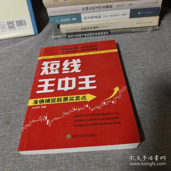 王中王平特一肖中的奧秘與探索，王中王平特一肖的奧秘與探索之旅
