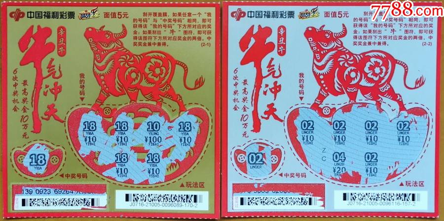 王中王19期指一生肖——探尋背后的奧秘與意義，王中王19期指一生肖，背后的奧秘與意義探尋