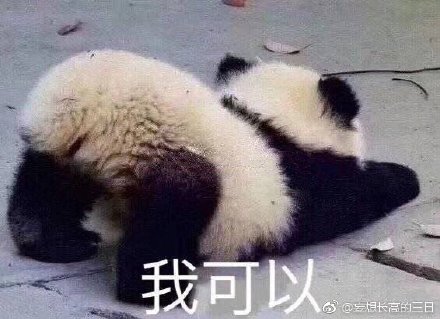 澳門(mén)四不像正版四不像網(wǎng)，探索真實(shí)與虛幻的交融之地，澳門(mén)四不像正版探索，真實(shí)與虛幻的交融世界