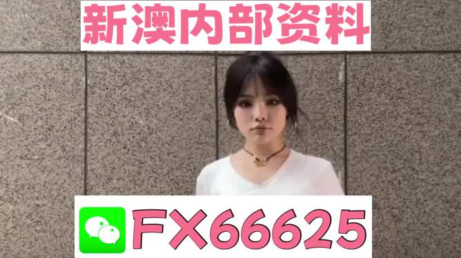 澳門正版資料大全完整版，探索與揭秘2025年澳門正版資料的世界，澳門正版資料大全揭秘，探索未來至2025年的奧秘世界