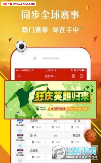 王中王一肖，探尋背后的故事與影響力（2019年），王中王一肖，背后的故事與影響力揭秘（2019年）